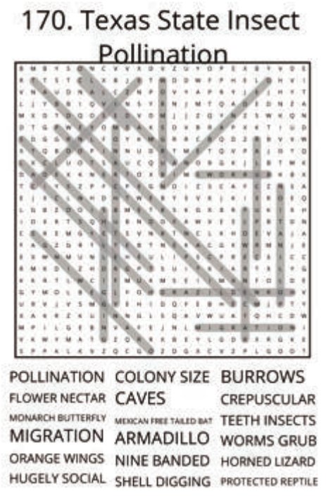 big-texas-solution-170