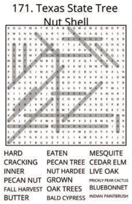 big-texas-solution-171