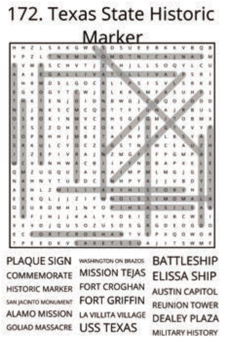 big-texas-solution-172