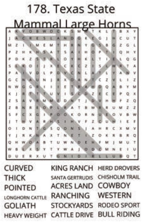 big-texas-solution-178