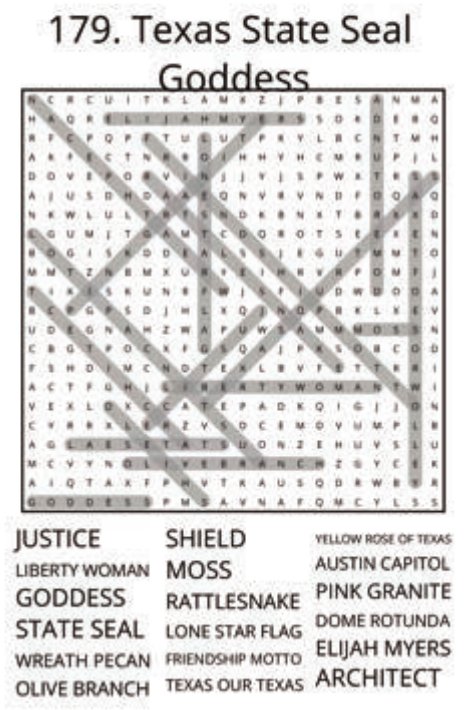 big-texas-solution-179