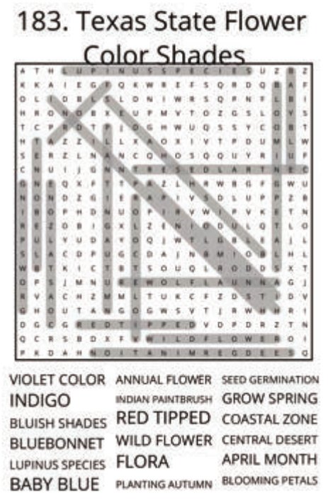 big-texas-solution-183