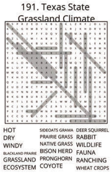 big-texas-solution-191