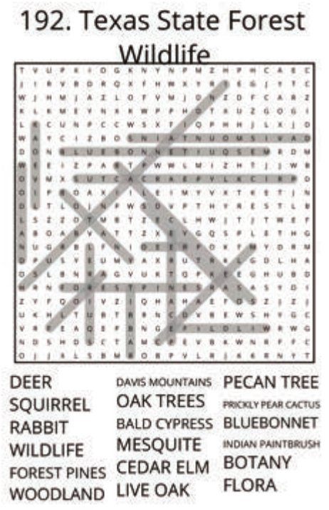 big-texas-solution-192