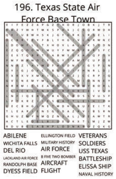 big-texas-solution-196