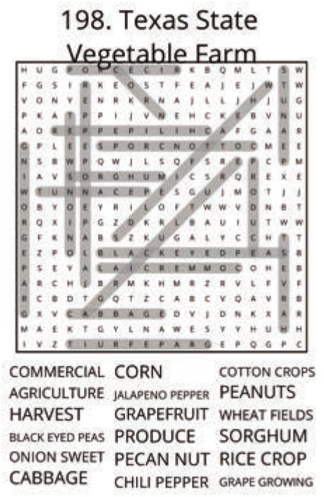 big-texas-solution-198