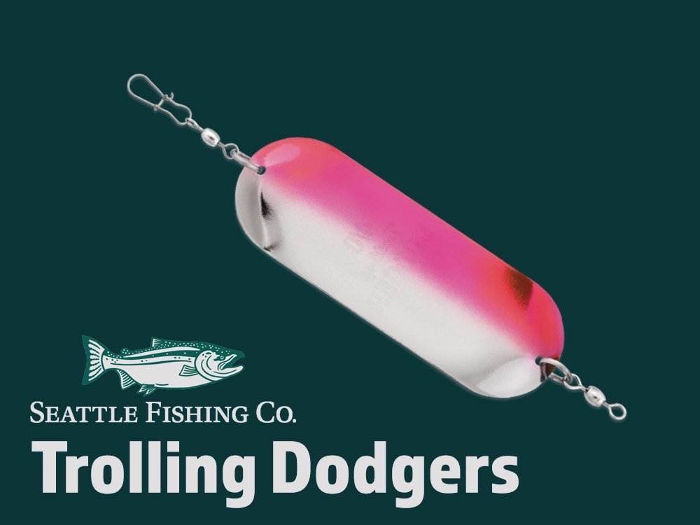 Trout dodgers