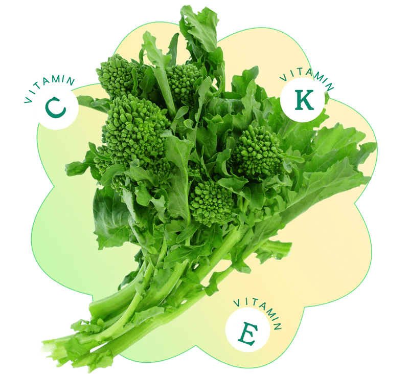 Sweet Broccoli Raab Seeds For Hydroponic Gardens Rise Gardens