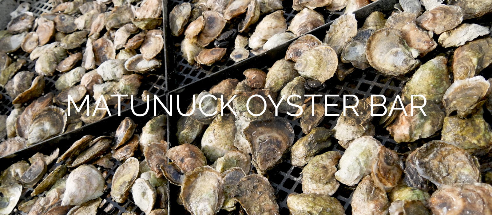 Matunuck oyster bar