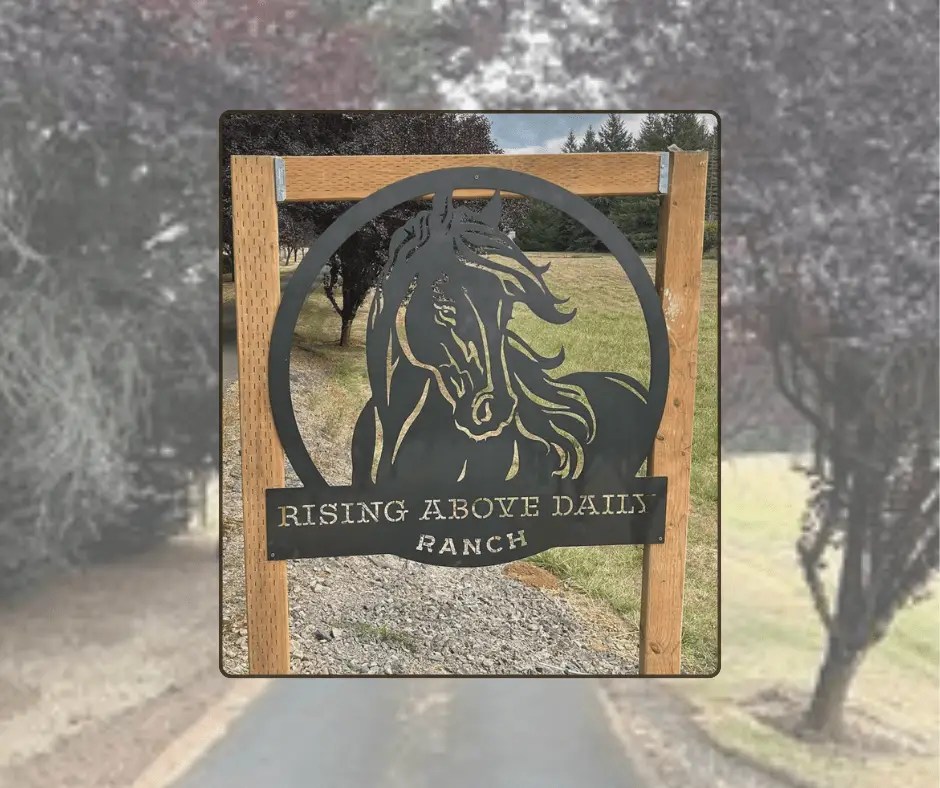 Rising Above Daily Youth Ranch Sign