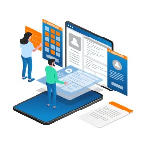 Web Developement - Premium