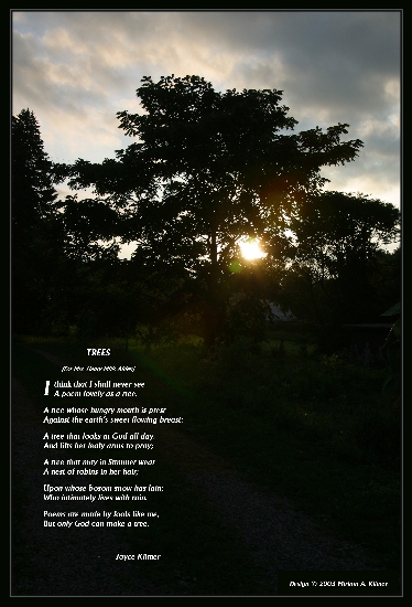 Trees By Joyce Kilmer By
