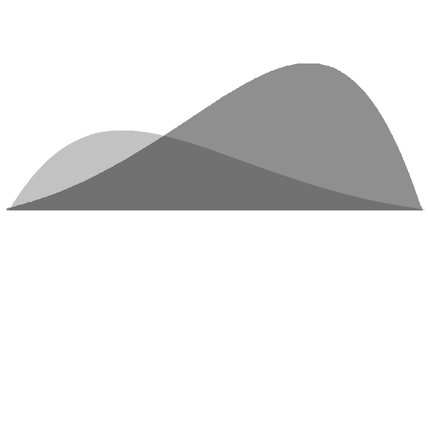 Initial spatial distribution