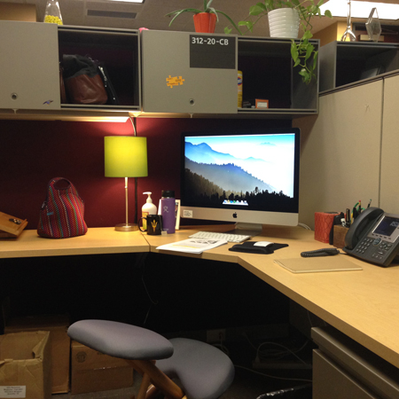 The view from my new desk