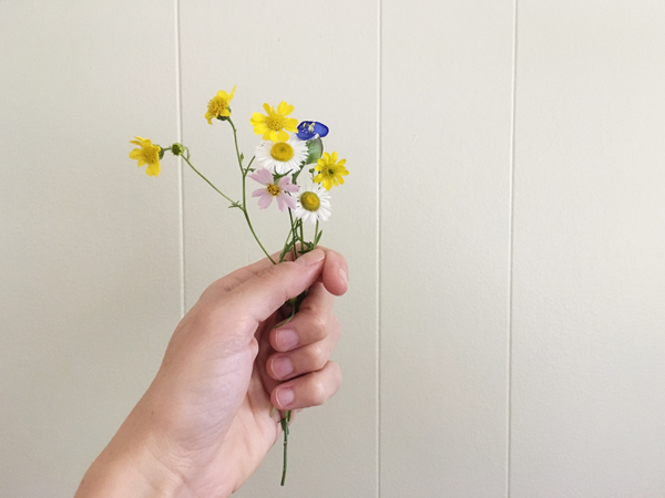 Goals – September 2016