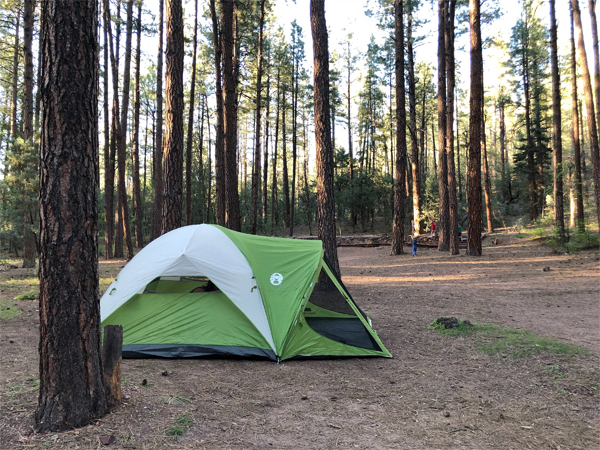 My Packing List For Family Camping Trips