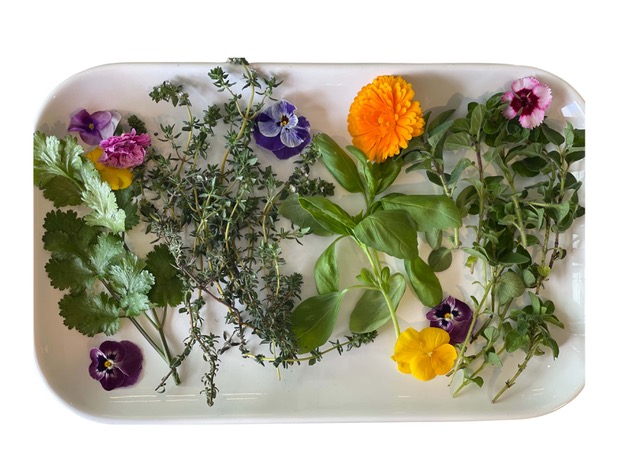 Purple, pink, yellow, blue, and orange flowers and a mix of different types of leaves arranged on a white, round-edged, decorative plate