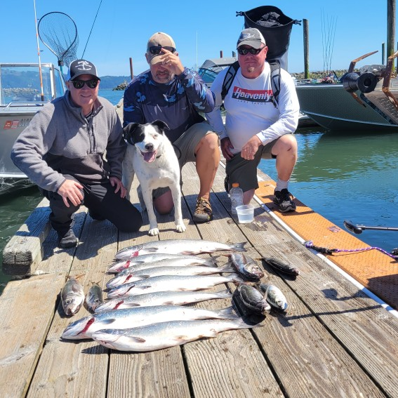 Marvin’s Guide Service