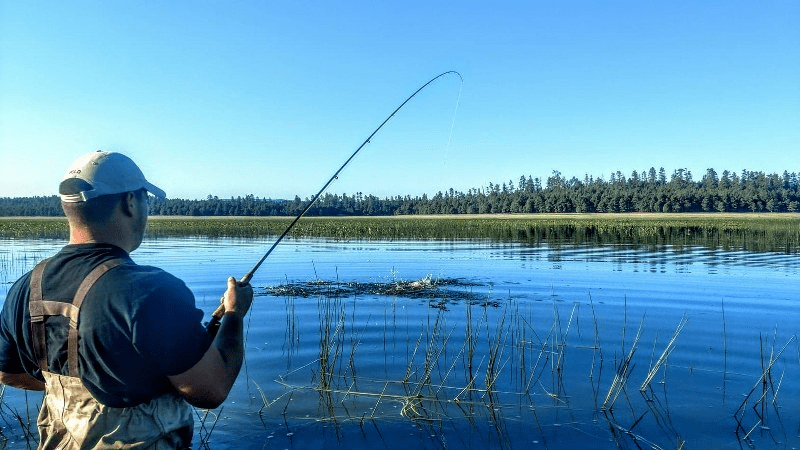 Timberland Outfitters