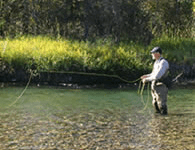 Sweetwater Fishing Expeditions