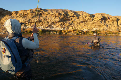 Mayfly Guide Service