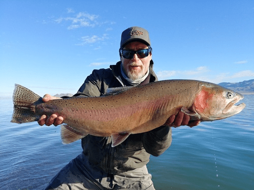 Pyramid Lake Anglers