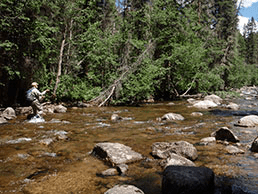 Colorado Wilderness Outfitters