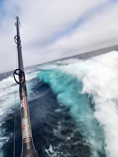 The CodFather