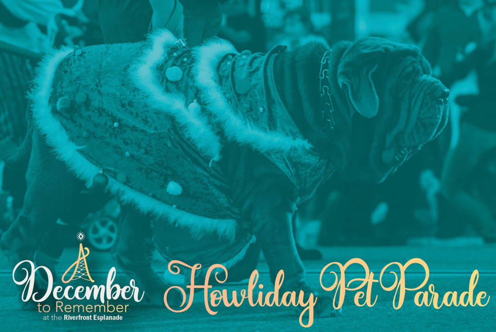 A December to Remember — Howliday Pet Parade