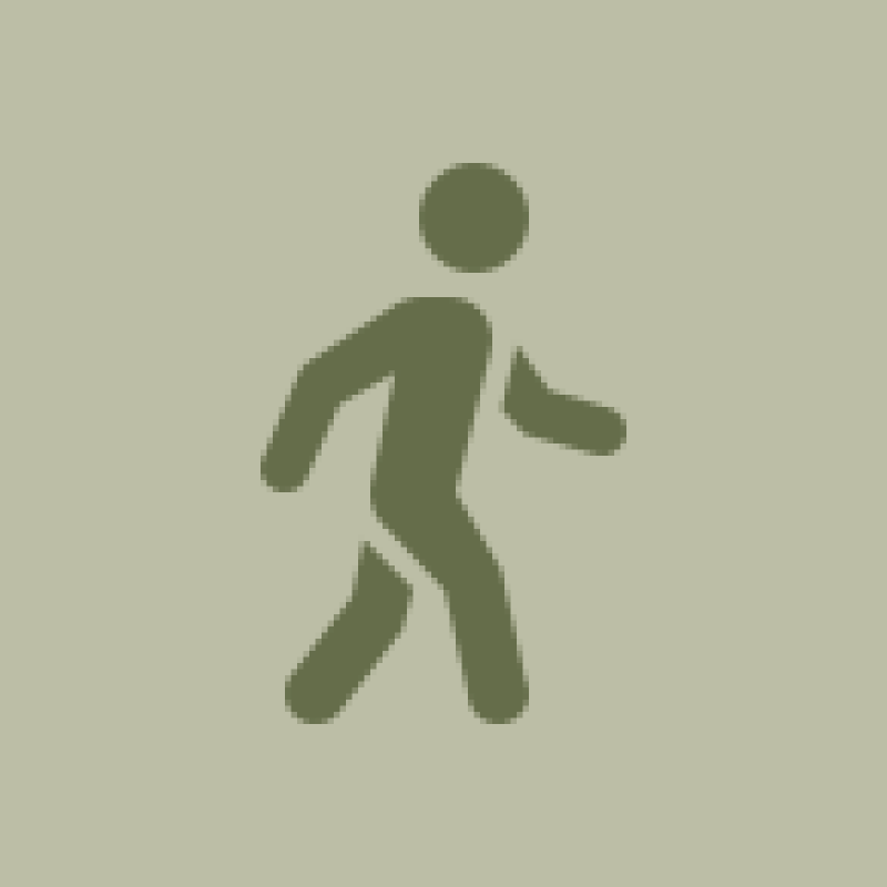 Exploring Things to do Rivers Edge Ranch Bayfield Colorado Mushroom Farm Activities