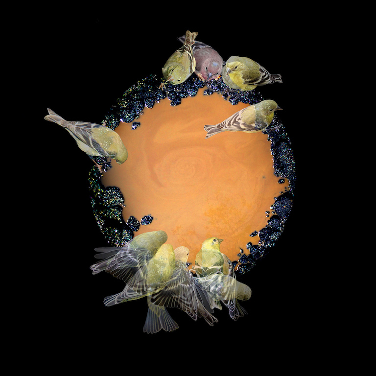 Naida Osline: Florescence