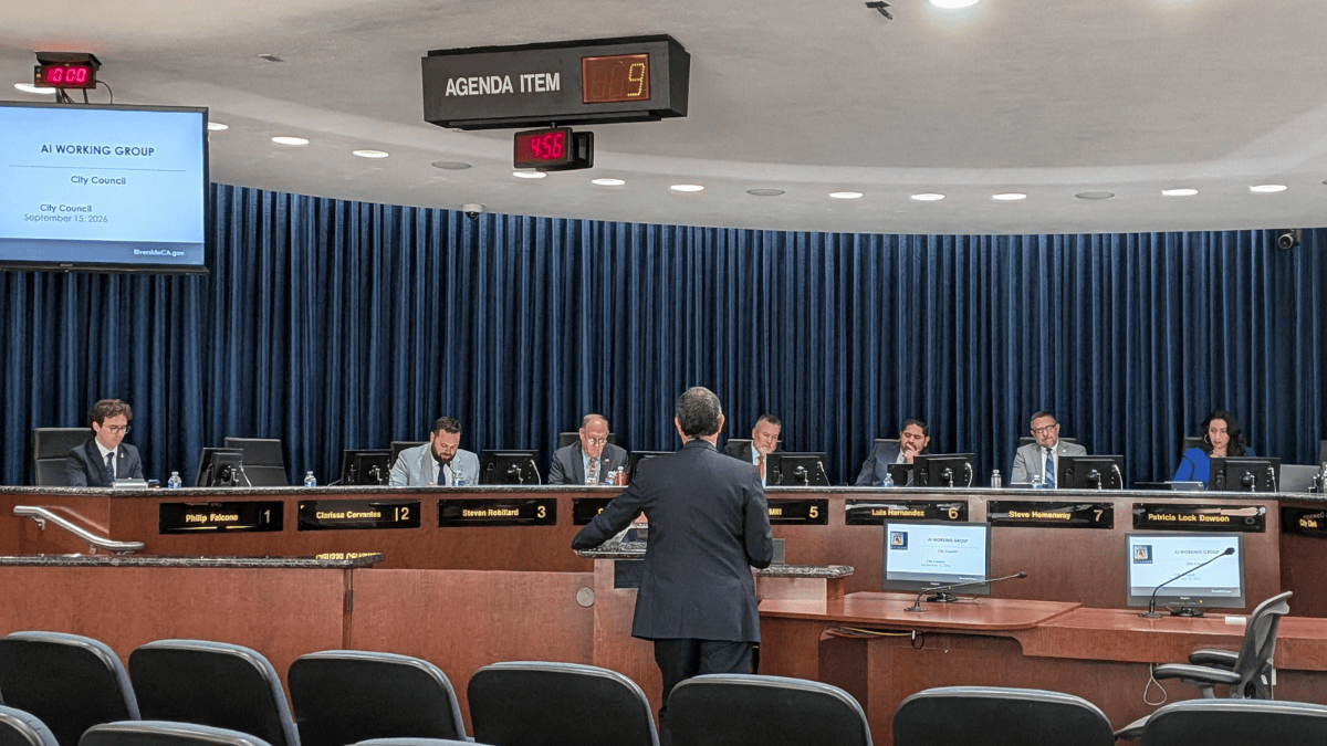 A man standing at a podium addresses the council at the dais.