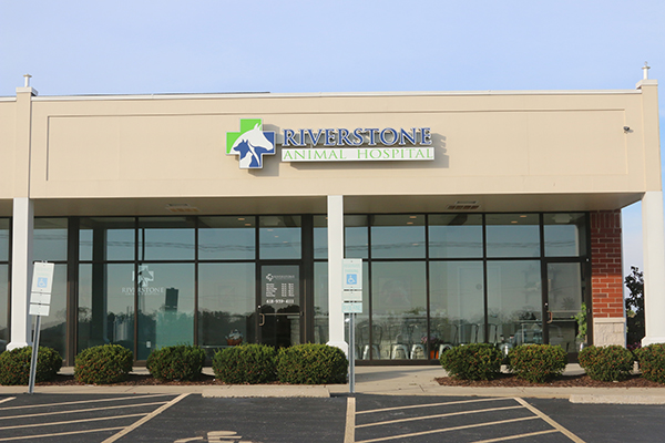 Take a tour of our waterloo, illinois veterinary hospital!
