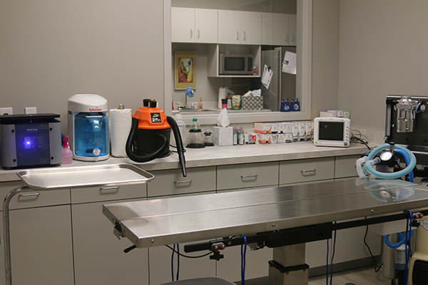 Take a tour of our waterloo, illinois veterinary hospital!