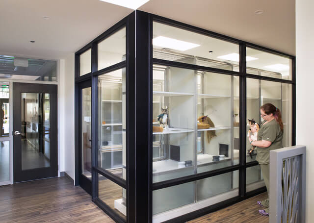 Hospital and resort tour