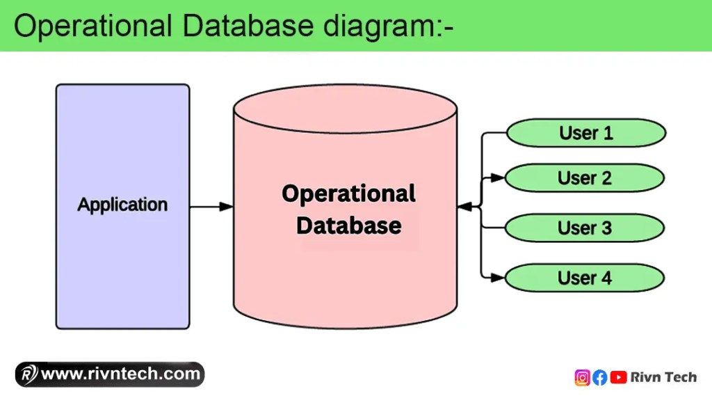 Operational Database