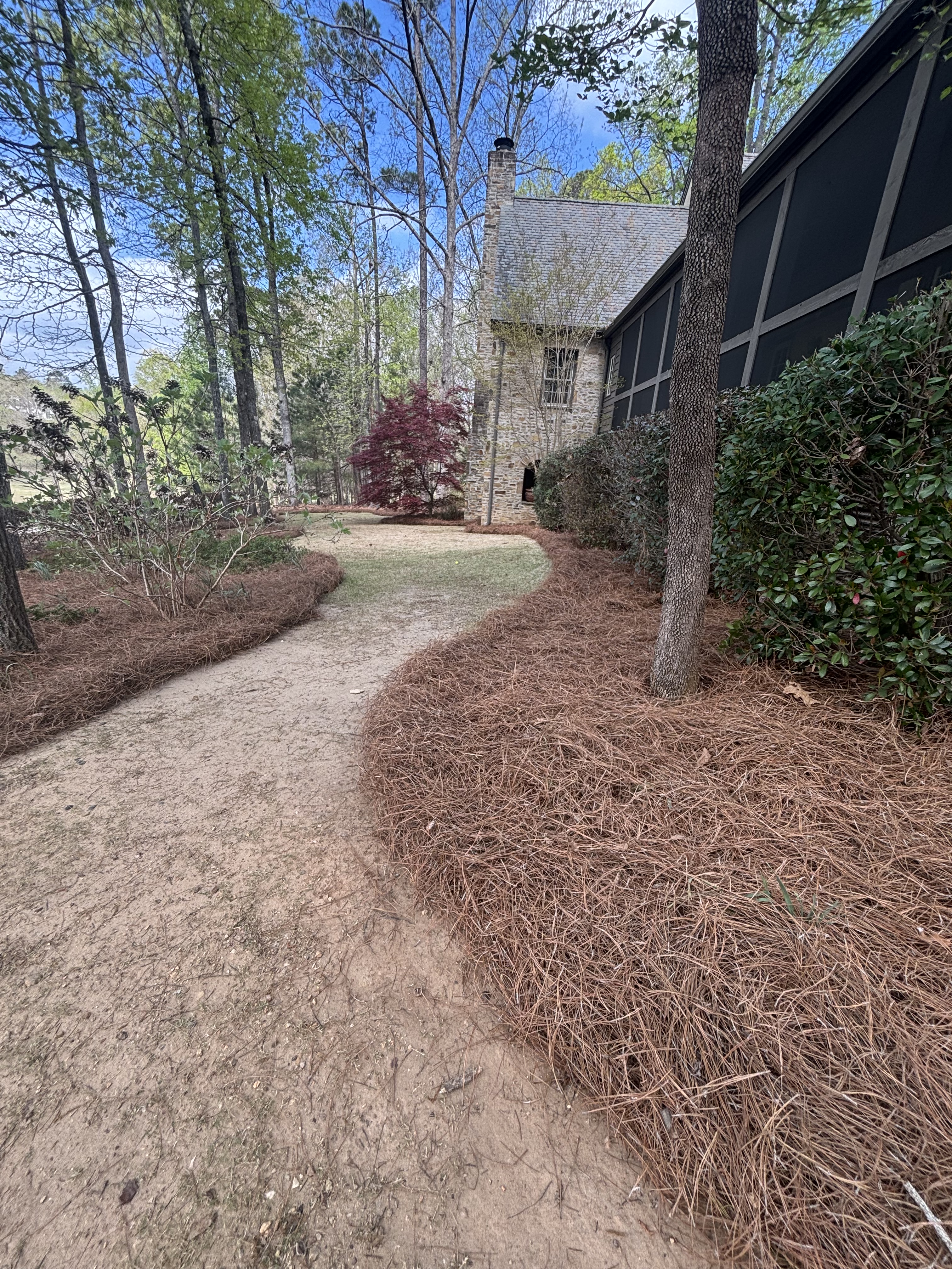Fresh pine straw installed in a landscaped garden bed in East Alabama