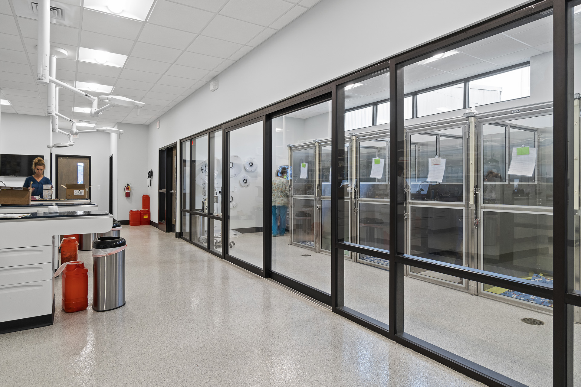 Randolph animal hospital