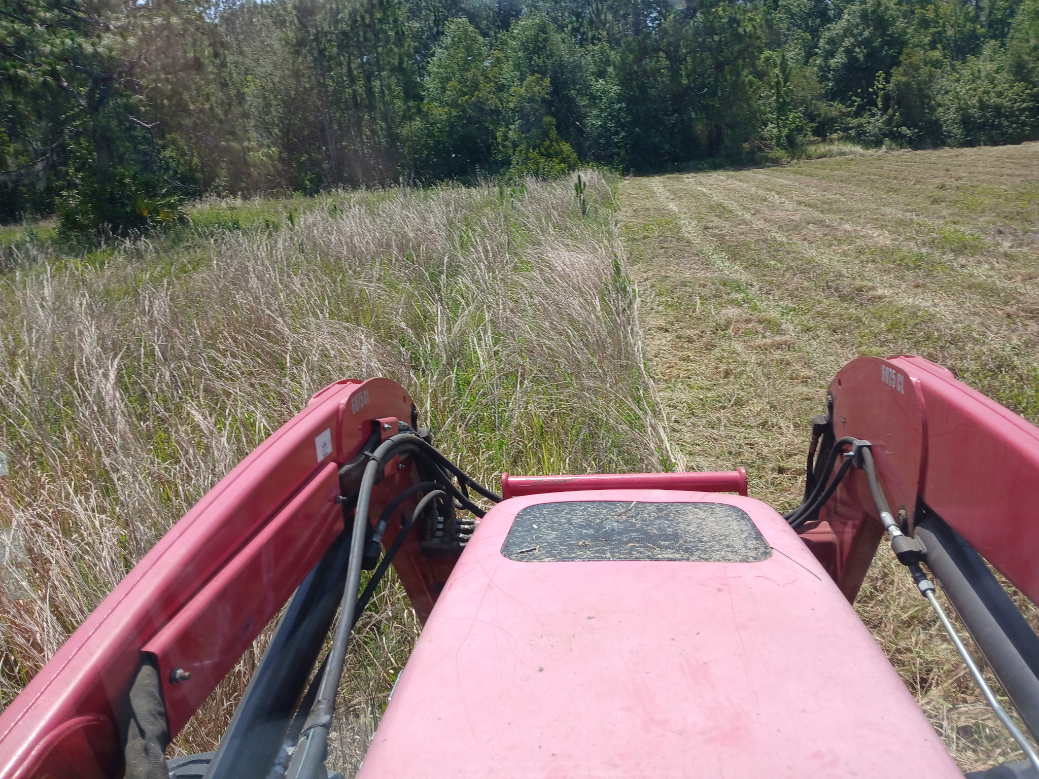 Tractor bush hogging a piece of land.