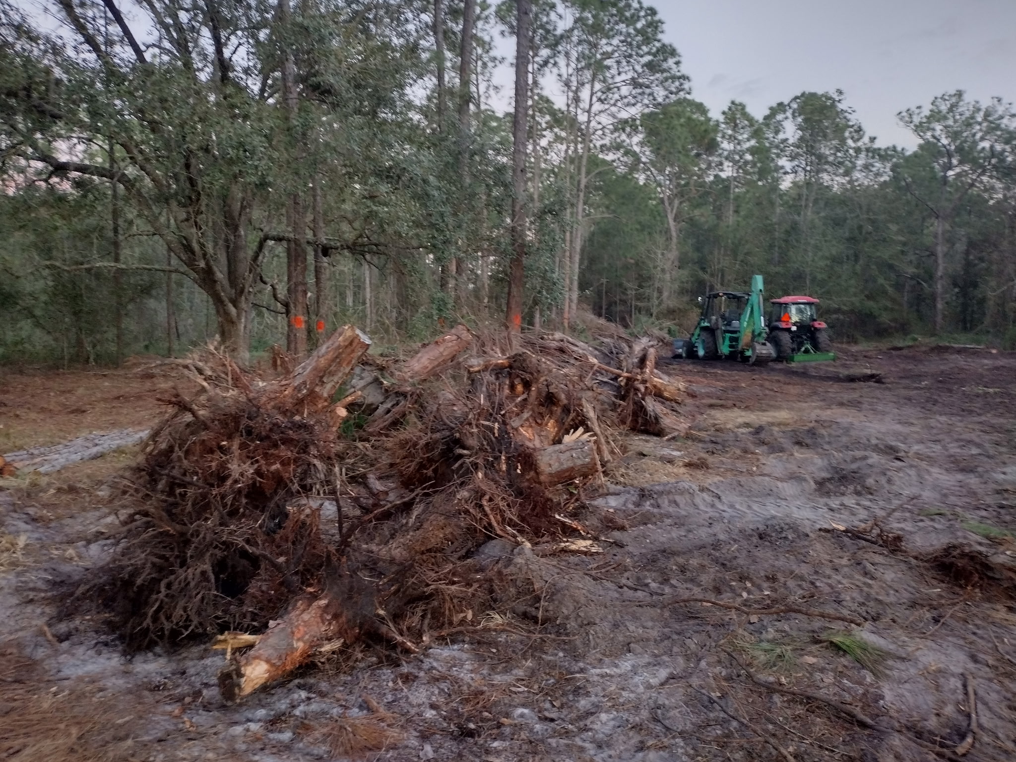 Pile of recently removed debris.
