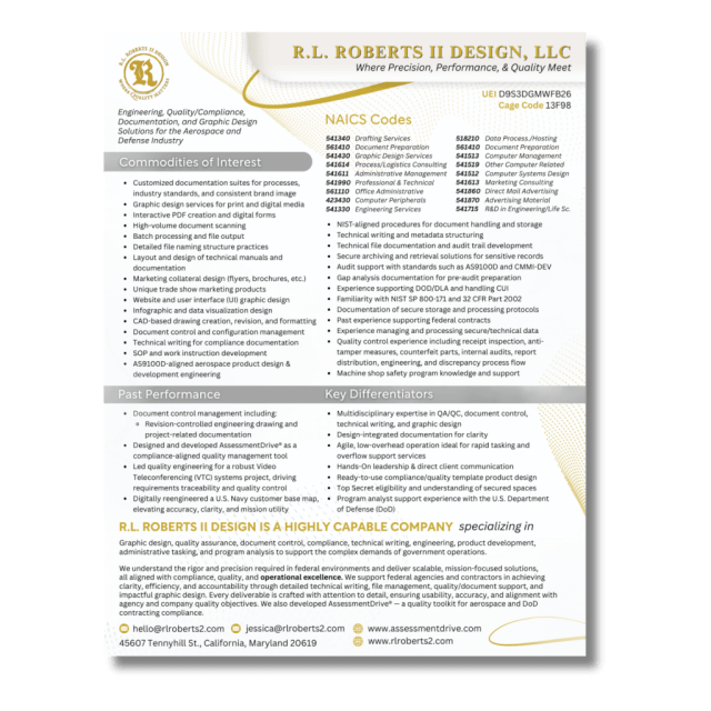 custom capabilities statement graphic design example
