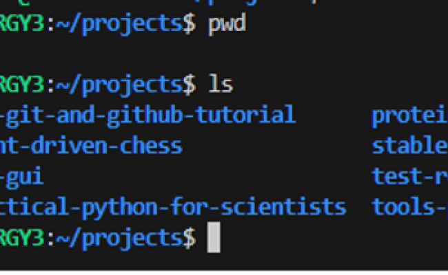 Appendix - Git And GitHub Tutorial At BMC