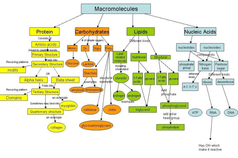 Macromolecules Flowchart - Dark Pattern Collection - Ultra HD Quality