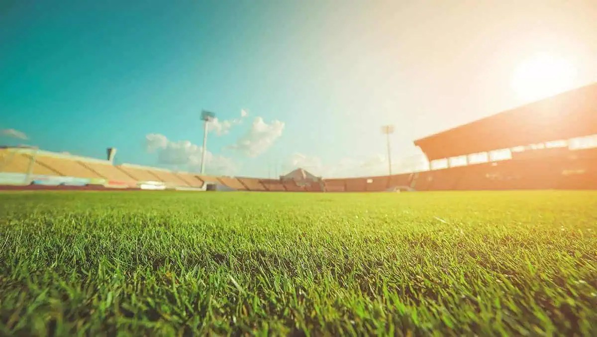 R.M. Landscape - Athletic Field Development in Buffalo, NY and Rochester, NY