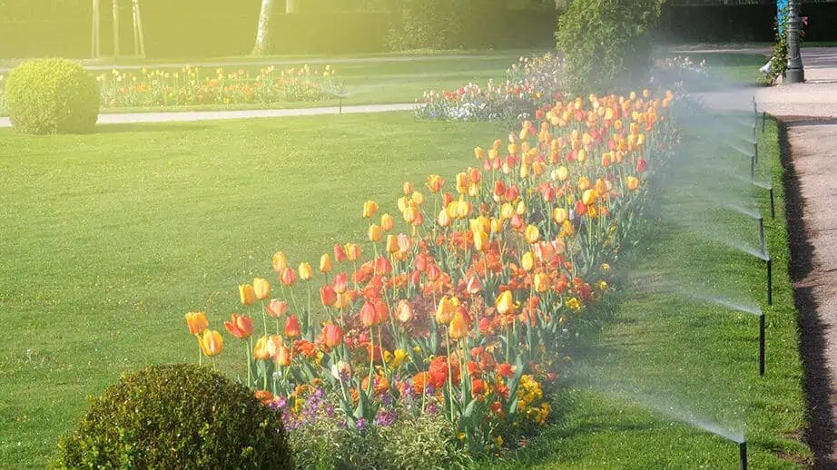 Commercial Irrigation Services in Rochester, NY and Buffalo