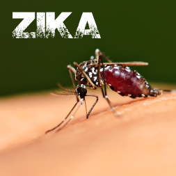 Bata nga gipakatawo sa inahan nga dunay Zika virus, monitoron sa DoH-7 bisan pa og kini himsog