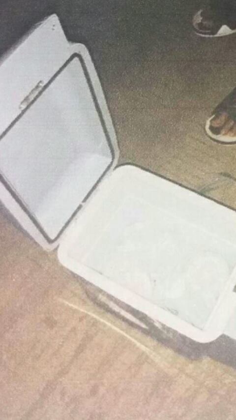 Cooler naalan ug Bomba