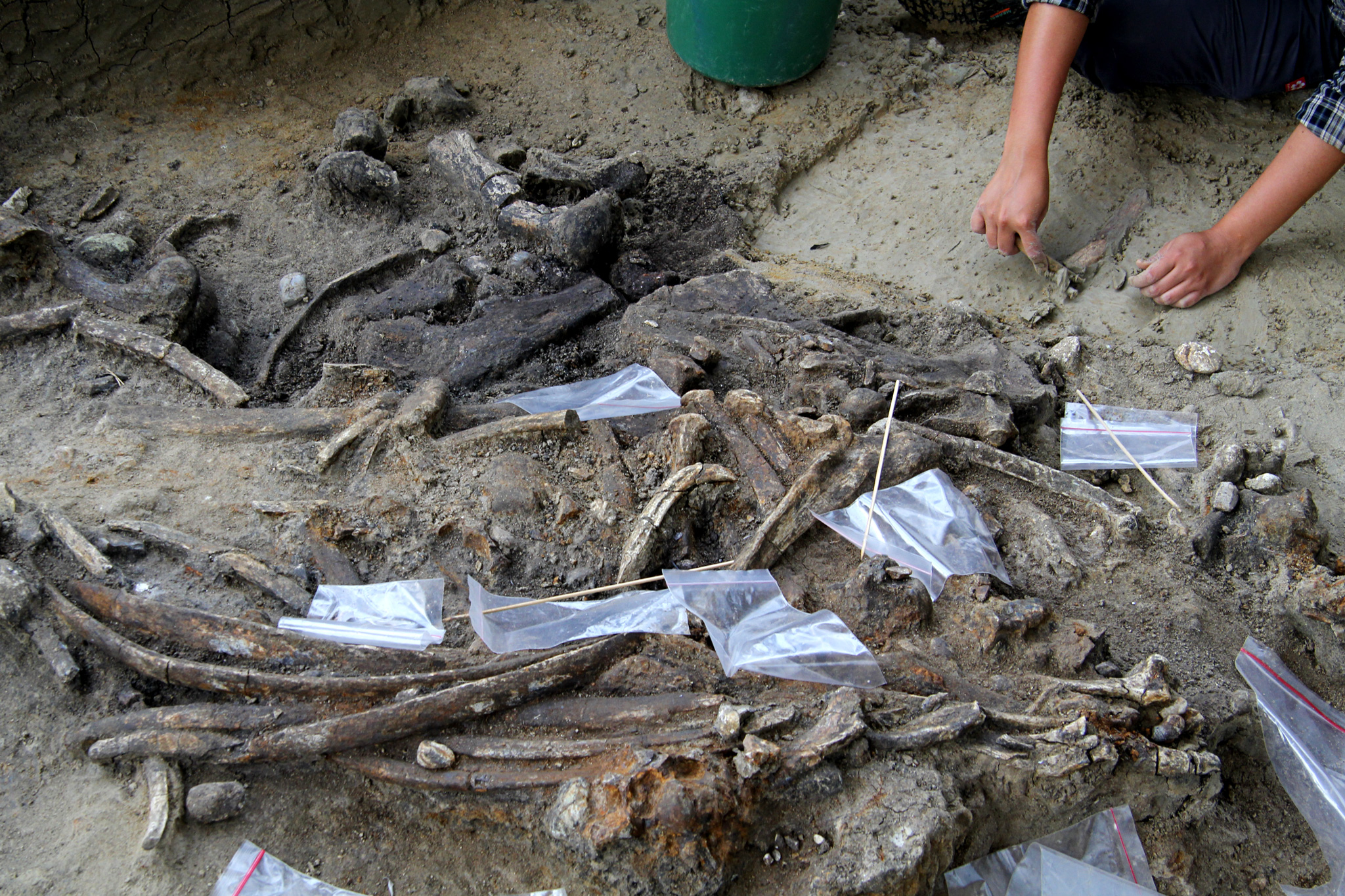 Paghuhukay sa Archaeological Site sa Rizal, Kalinga, Ipagpapatuloy!