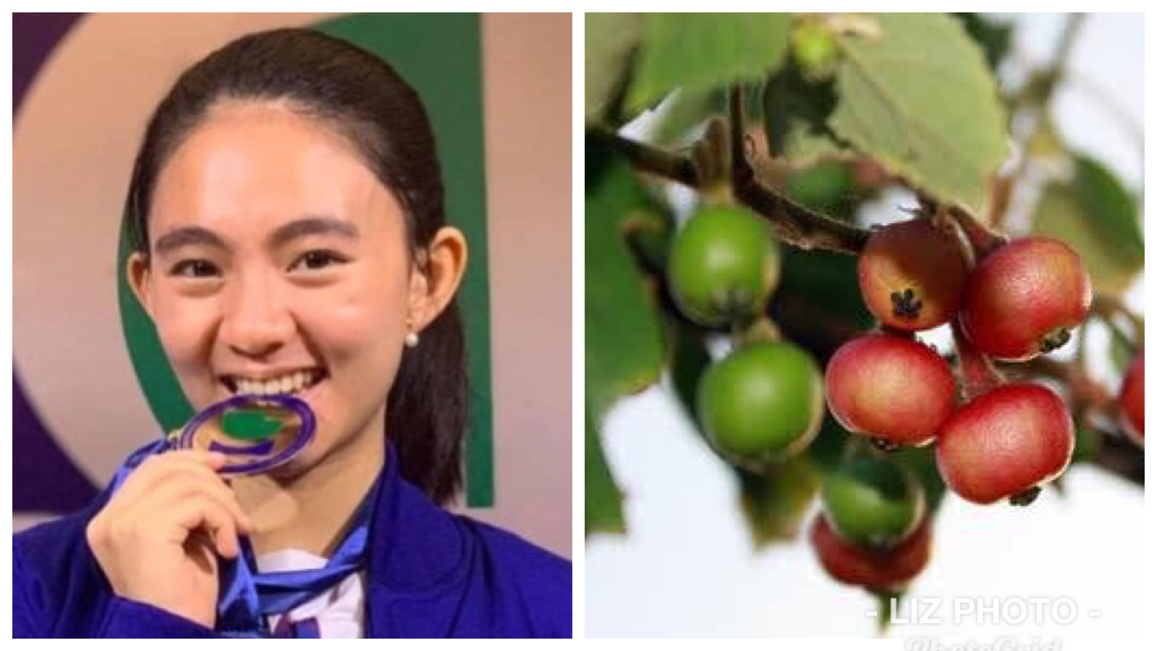 Aratiles ukon sarisa bulong sa diabetes basi sa pagtuon sang isa ka Ilongga nga estudyante