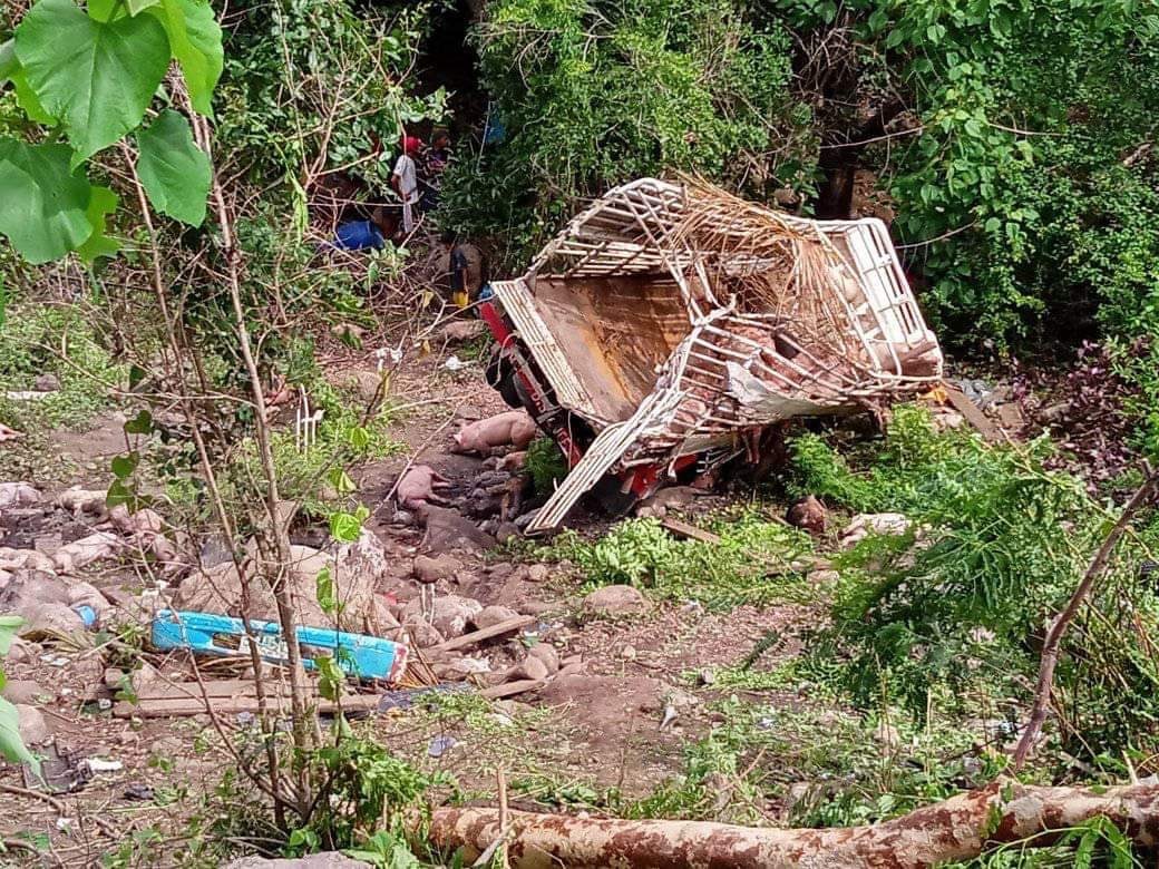 5 patay sang nahulog ang trak sang mga komptador sang baboy sa Zamboanguita